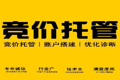 行业大咖的SEM实战经验分享及案例
